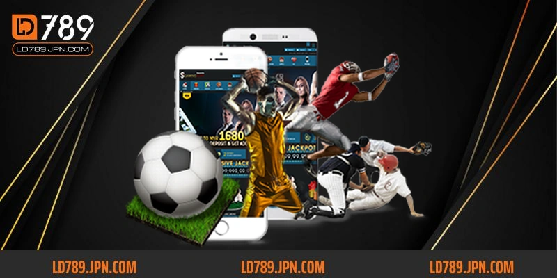 CMD Sport LD789 – thu hút những ai tìm kiếm sự thư giãn và kết nối